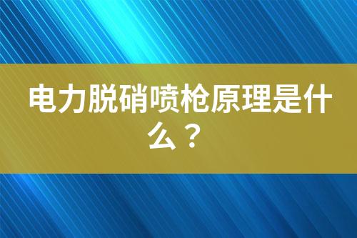 电力脱硝喷枪原理是什么？