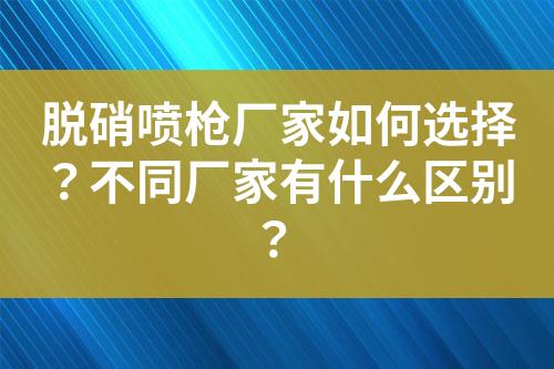 脱硝喷枪厂家如何选择？不同厂家有什么区别？