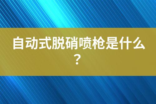 自动式脱硝喷枪是什么？