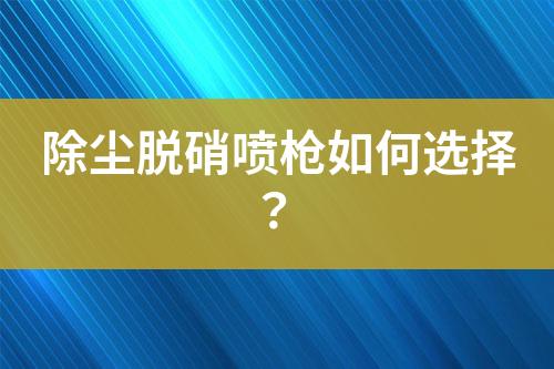 除尘脱硝喷枪如何选择？