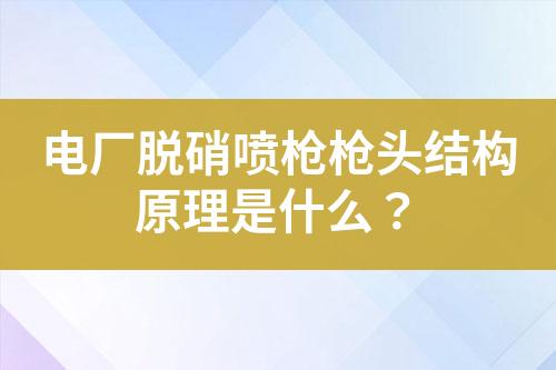 电厂脱硝喷枪枪头结构原理是什么？