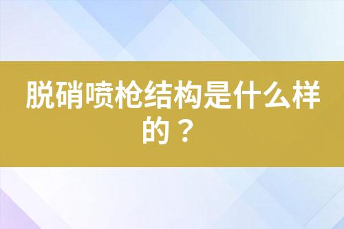 脱硝喷枪结构是什么样的？