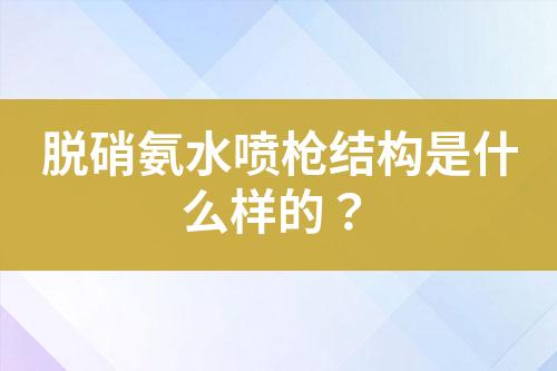 脱硝氨水喷枪结构是什么样的？