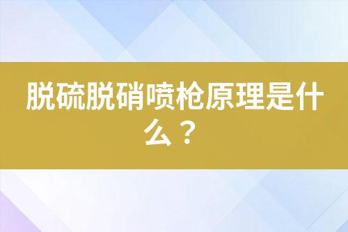 脱硫脱硝喷枪原理是什么？