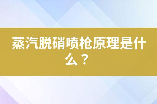 蒸汽脱硝喷枪原理是什么？