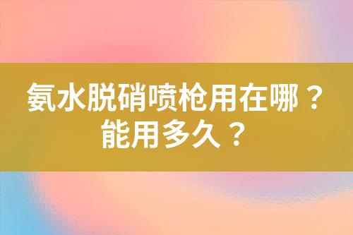 氨水脱硝喷枪用在哪？能用多久？