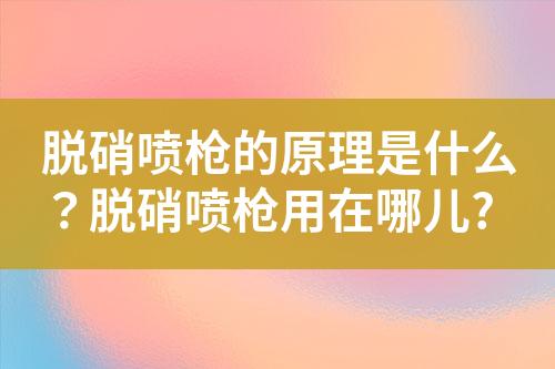 脱硝喷枪的原理是什么？脱硝喷枪用在哪儿?