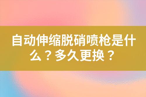 自动伸缩脱硝喷枪是什么？多久更换？