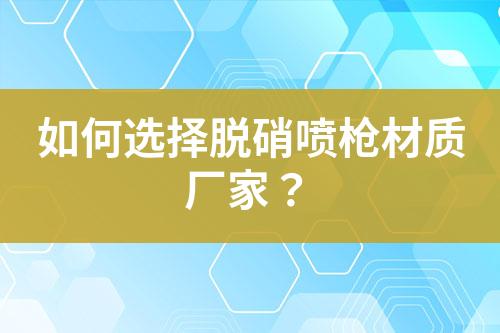 如何选择脱硝喷枪材质厂家？