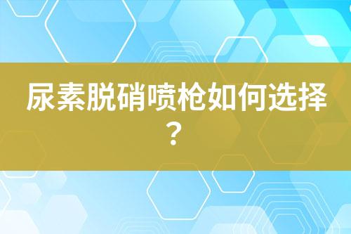 尿素脱硝喷枪如何选择？