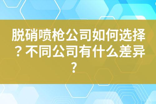 脱硝喷枪公司如何选择？不同公司有什么差异?