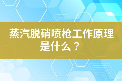 蒸汽脱硝喷枪工作原理是什么？