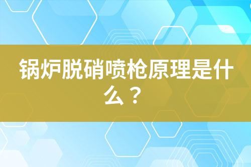 锅炉脱硝喷枪原理是什么？