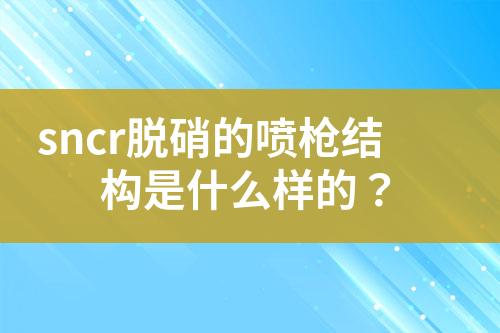 sncr脱硝的喷枪结构是什么样的？