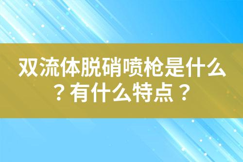 双流体脱硝喷枪是什么？有什么特点？