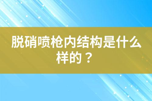 脱硝喷枪内结构是什么样的？