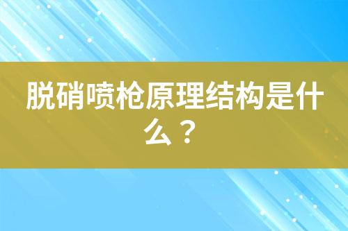 脱硝喷枪原理结构是什么？