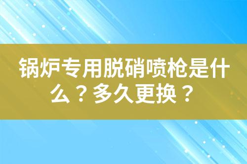 锅炉专用脱硝喷枪是什么？多久更换？