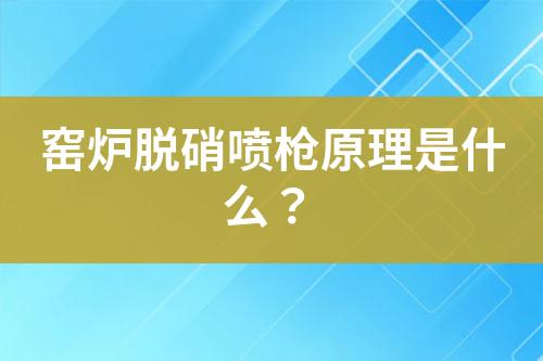 窑炉脱硝喷枪原理是什么？