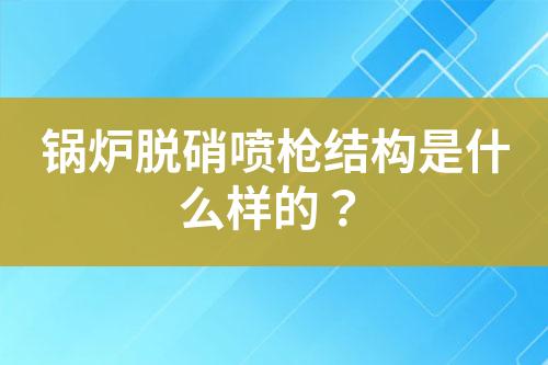 锅炉脱硝喷枪结构是什么样的？