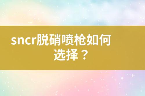 sncr脱硝喷枪如何选择？