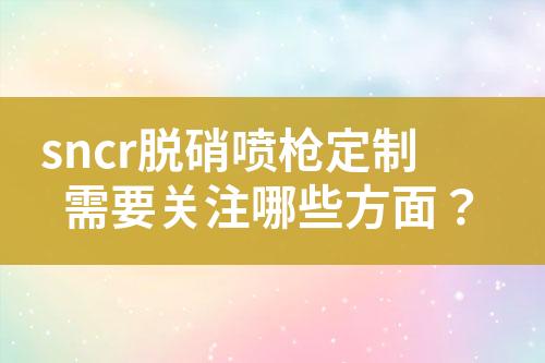 sncr脱硝喷枪定制需要关注哪些方面？