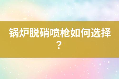 锅炉脱硝喷枪如何选择？