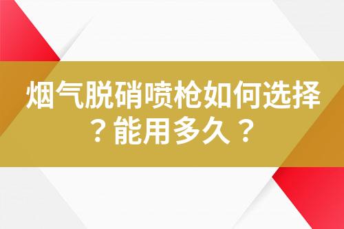 烟气脱硝喷枪如何选择？能用多久？