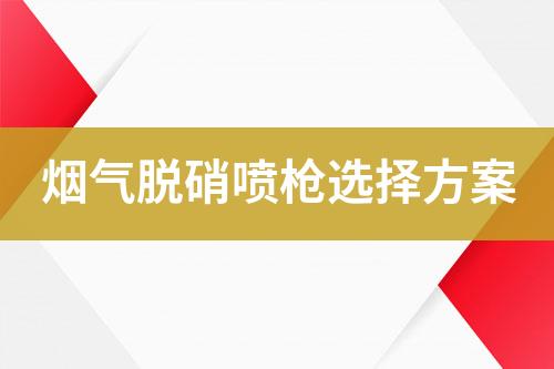 烟气脱硝喷枪选择方案