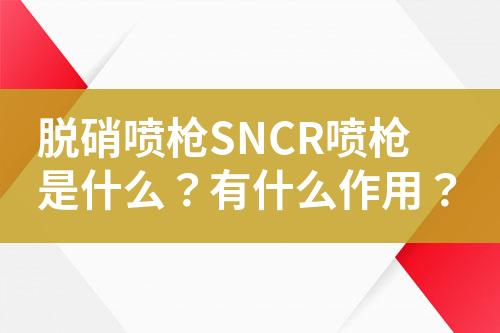 脱硝喷枪SNCR喷枪是什么？有什么作用？