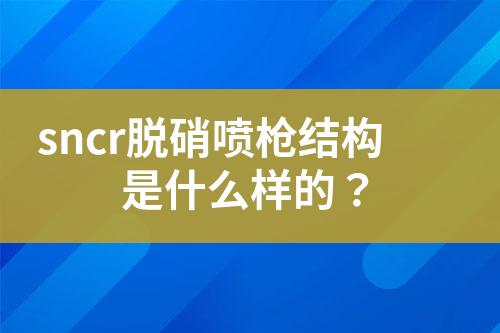 sncr脱硝喷枪结构是什么样的？